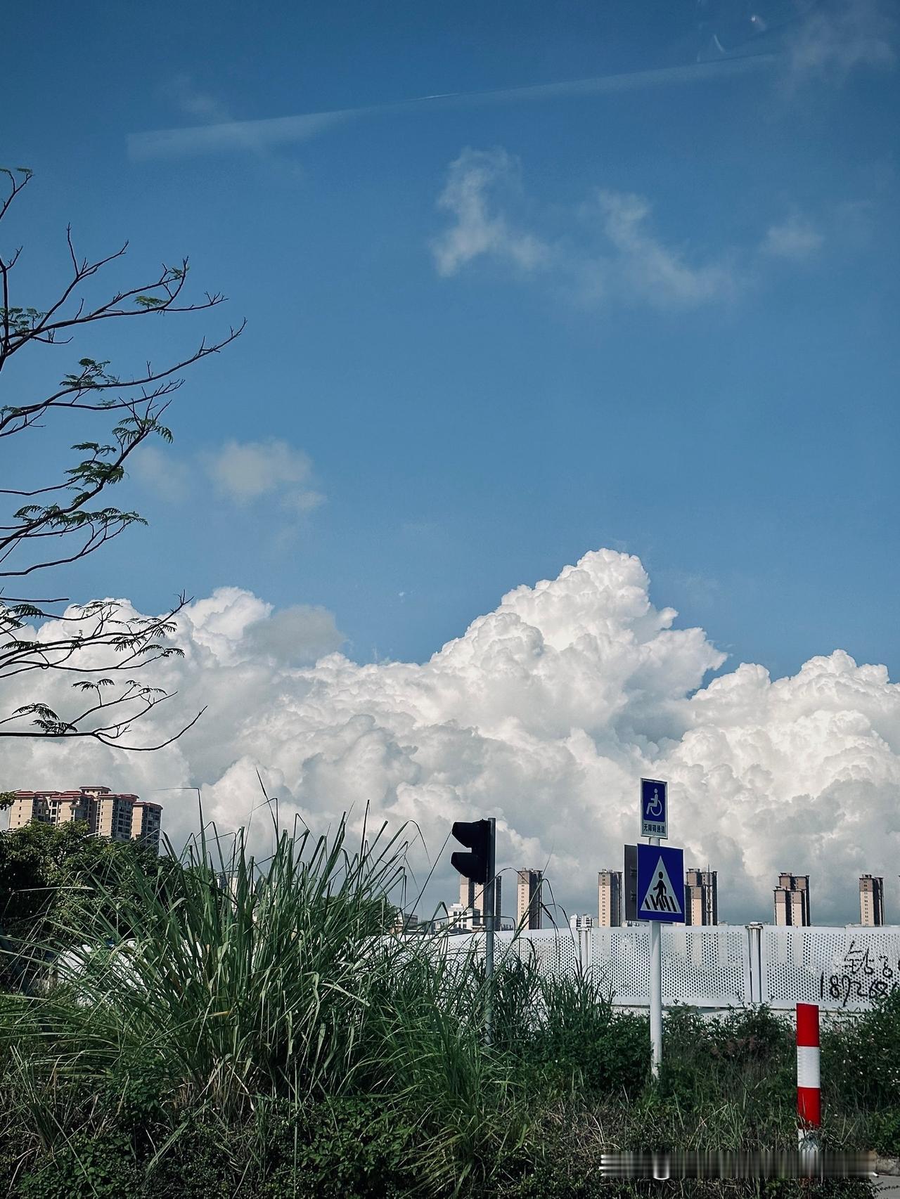 发现了一个很奇怪的现象，现在90后的人已开始研究起社保政策了。今天上班摸鱼