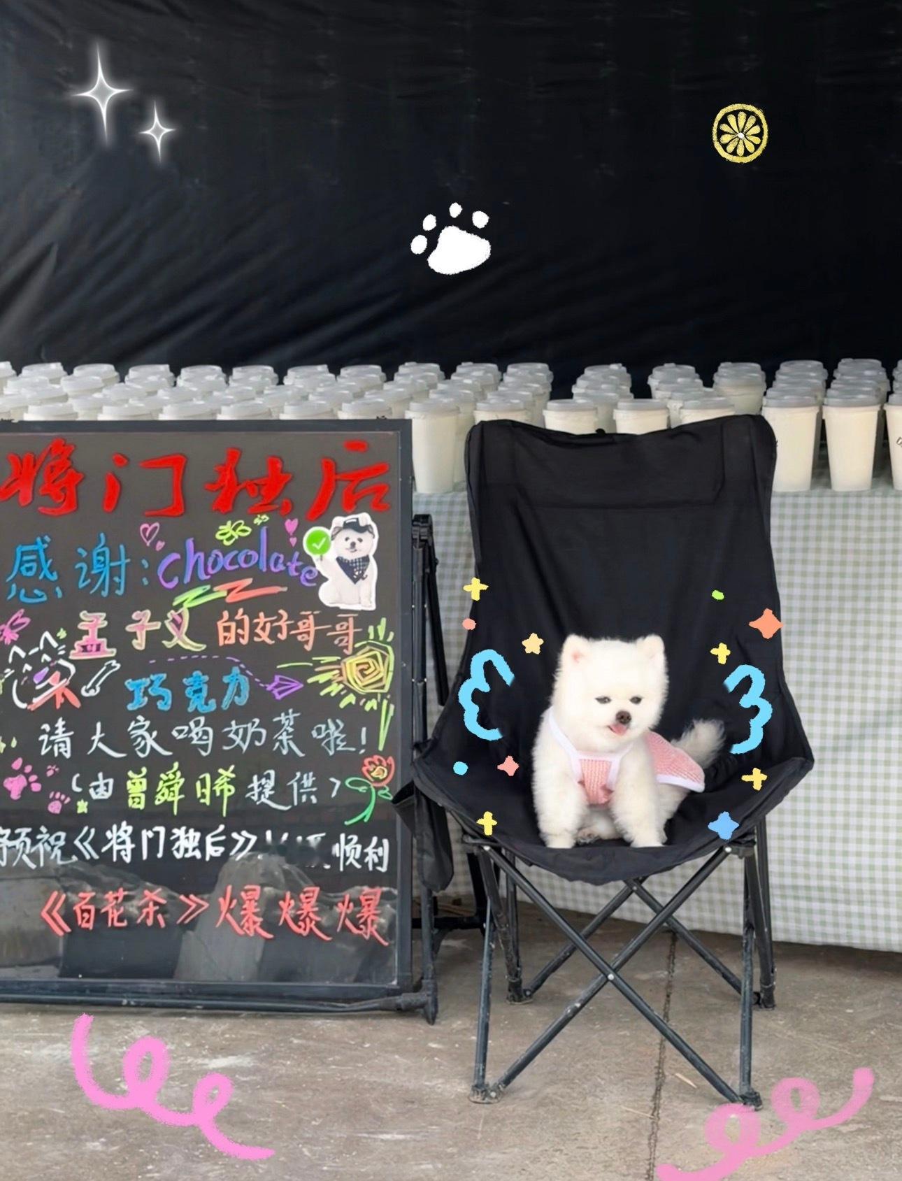 何与探班孟子义有孟子义在的剧组奶茶九宫格都放不下呀，我孟真诚善良人缘好，7.9百