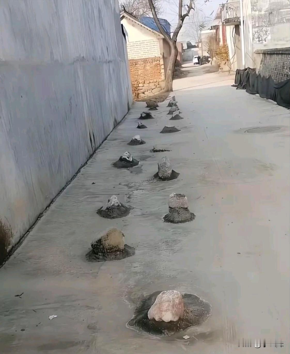 村上修马路遇到这种，干坏事的人该怎么办呀？