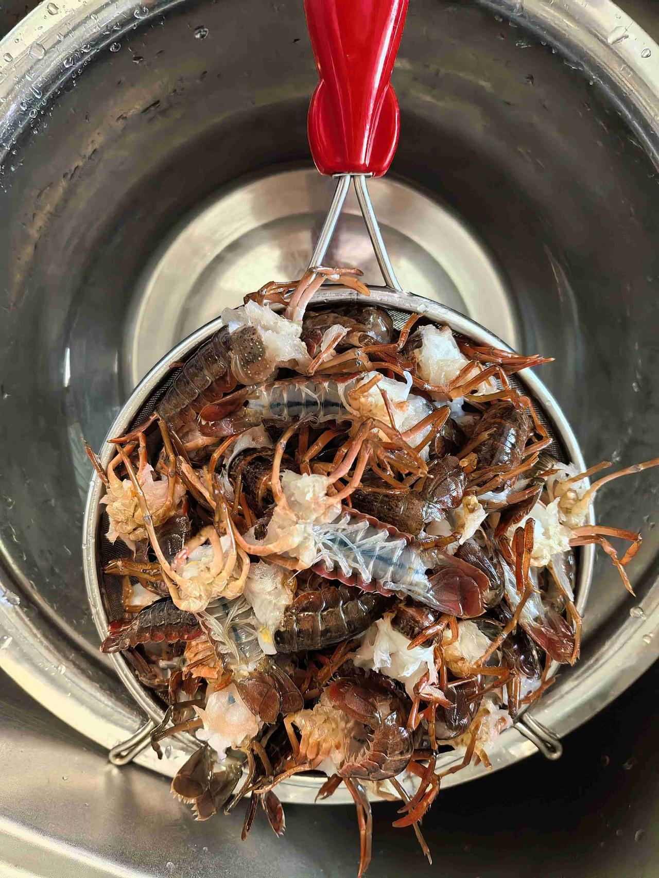 搞笑的雇主真有意思，今天她儿子和儿媳都在家休息一天，为了迎接五一的假期，女主人一