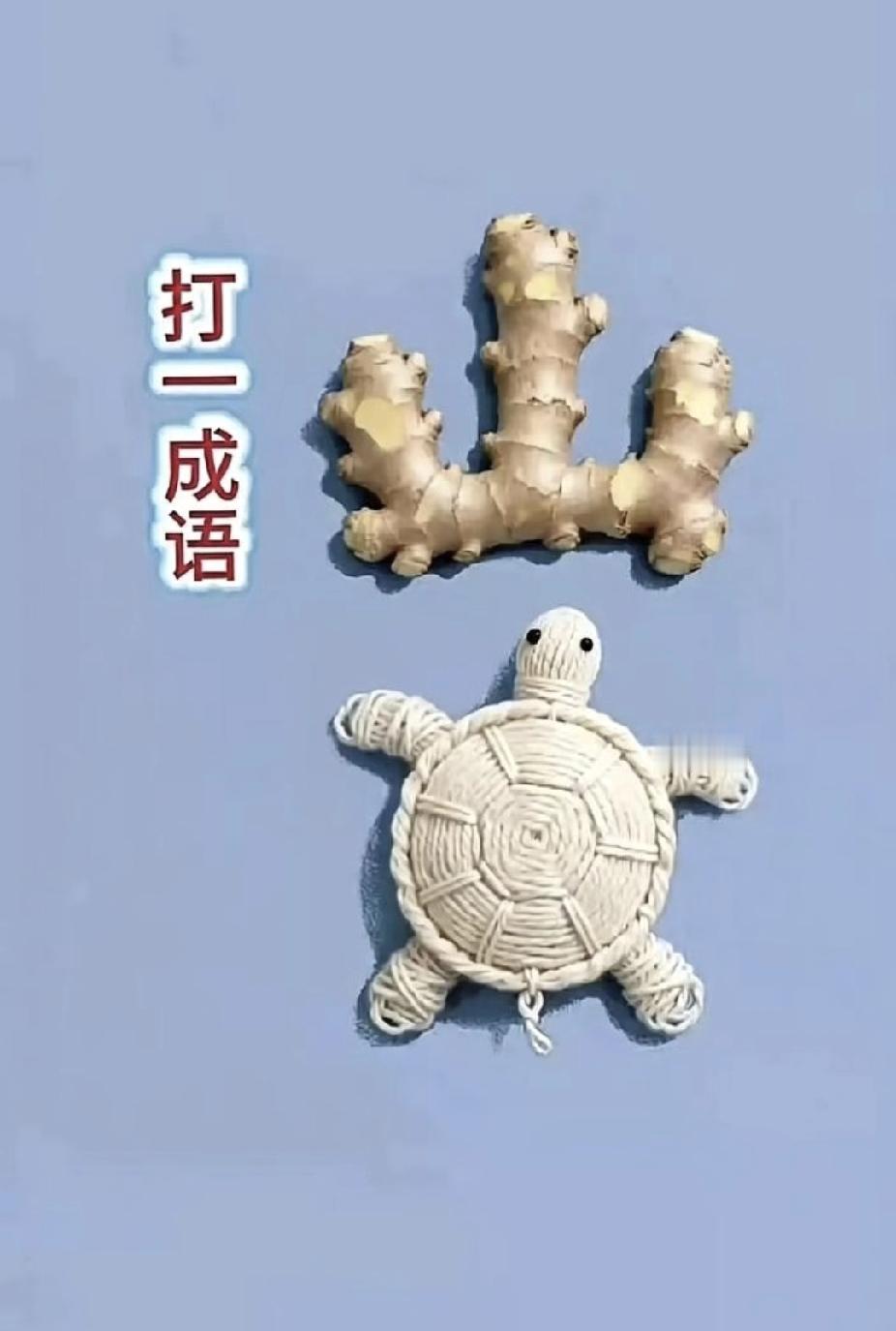 看图猜成语！生姜摆成山+乌龟，谜底很多人想不到