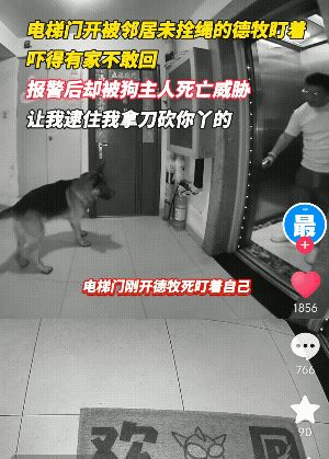 北京，一男子坐电梯回家，电梯门打开瞬间，一条体型硕大且未拴狗绳的德国牧羊犬龇牙咧
