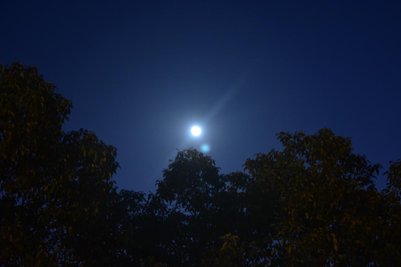 射雕：黄蓉和杨康都那么聪明，为什么没有走到一起？看过一个最走心的答案就是：杨