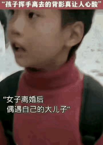 女子离婚后，儿子判给了前夫，再嫁人又生了小儿子。一次偶遇大儿子心里百感交集，忍