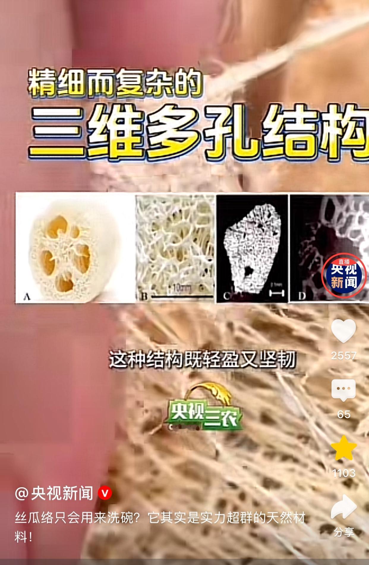 我敢断定丝瓜络涨价了，原因是它已经火到了央视了，姐妹们，以前囤其他东西，现在可以