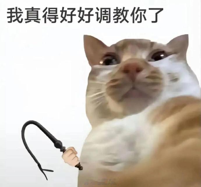 聊天必备表情包第733弹喵星人必备表情包​​​（拿图吱声）​​​