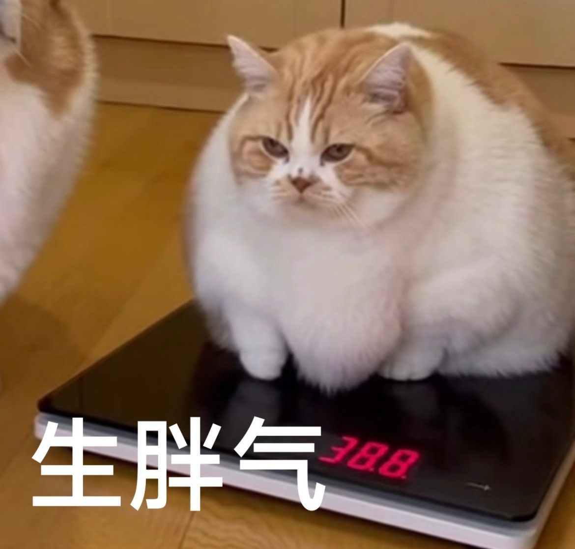 肯德基多要酱收费记得之前辣椒粉就是分地区收费，现在甜辣酱也不能多给一个吗？！那不