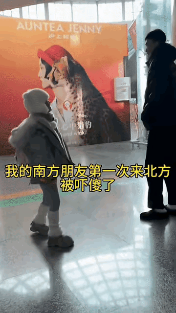 这就是南北方之间的差异吗？