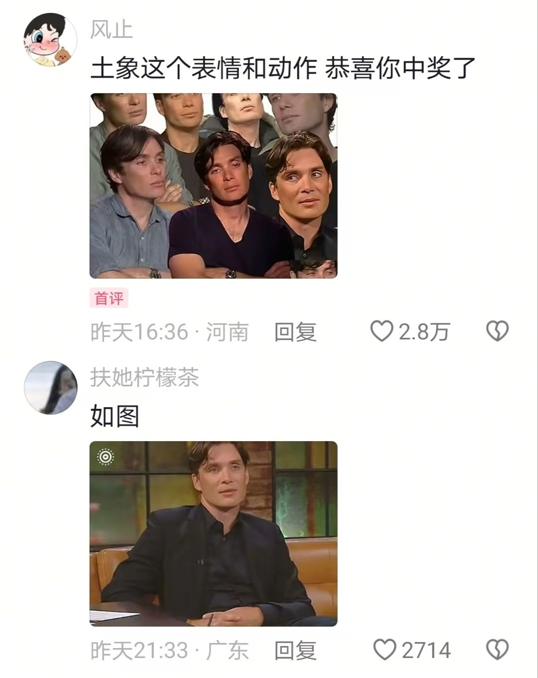 土象是这样的