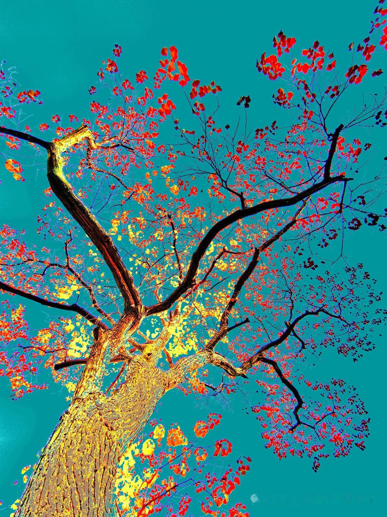 天蝎座最厉害的本事是逆商能力惊人他们从来不怕低谷和挫折，越是身处困境，越能