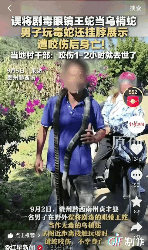 太惨了！贵州，男子收割稻谷，发现有条蛇，他把蛇抓住了，弟弟看到了，以为是乌梢蛇，