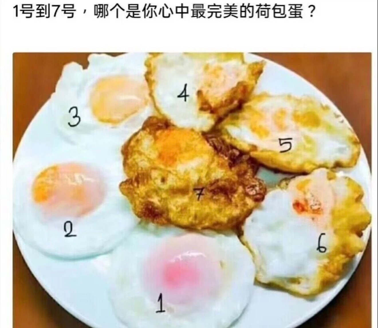 有没有人懂7号？如果有人不懂的话我再问一遍