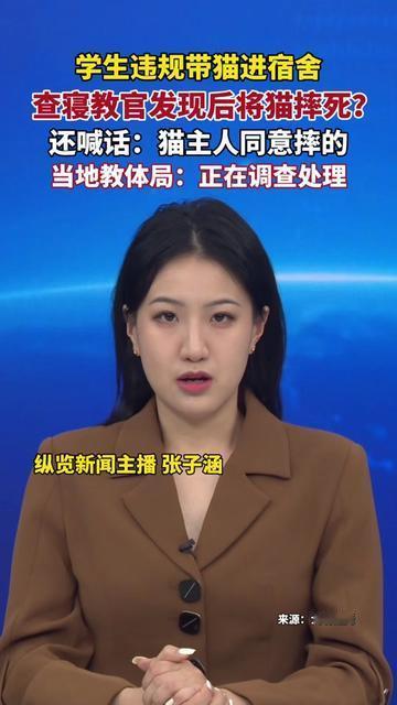 凌晨3点，女生宿舍的哭声把整层楼都惊醒了，她藏在衣柜里的橘猫，刚被查寝教