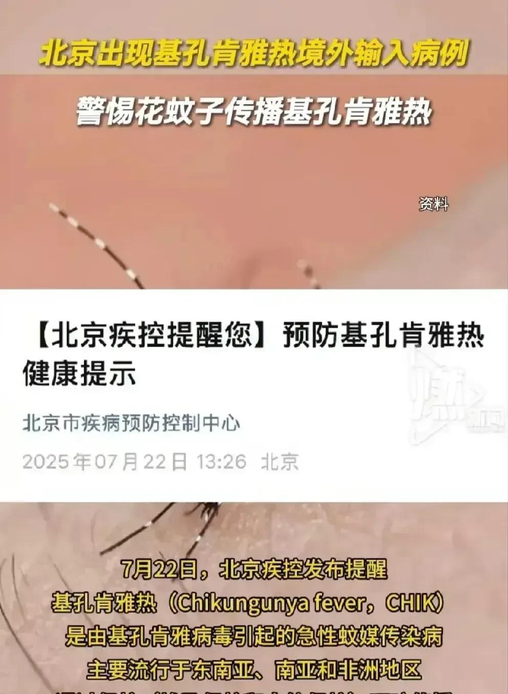 广东顺德一村庄，全体村民一起点蚊香！点蚊香，是为了杀灭传播“基孔肯雅热”的蚊子