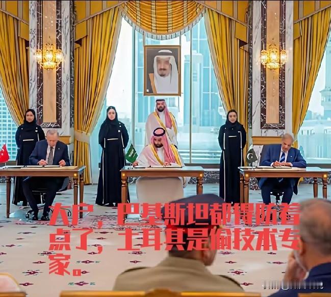 美国这次失算了，打伊朗，伊朗没打下，却打出了一个中东巴土沙联盟，而且巴基斯坦还表