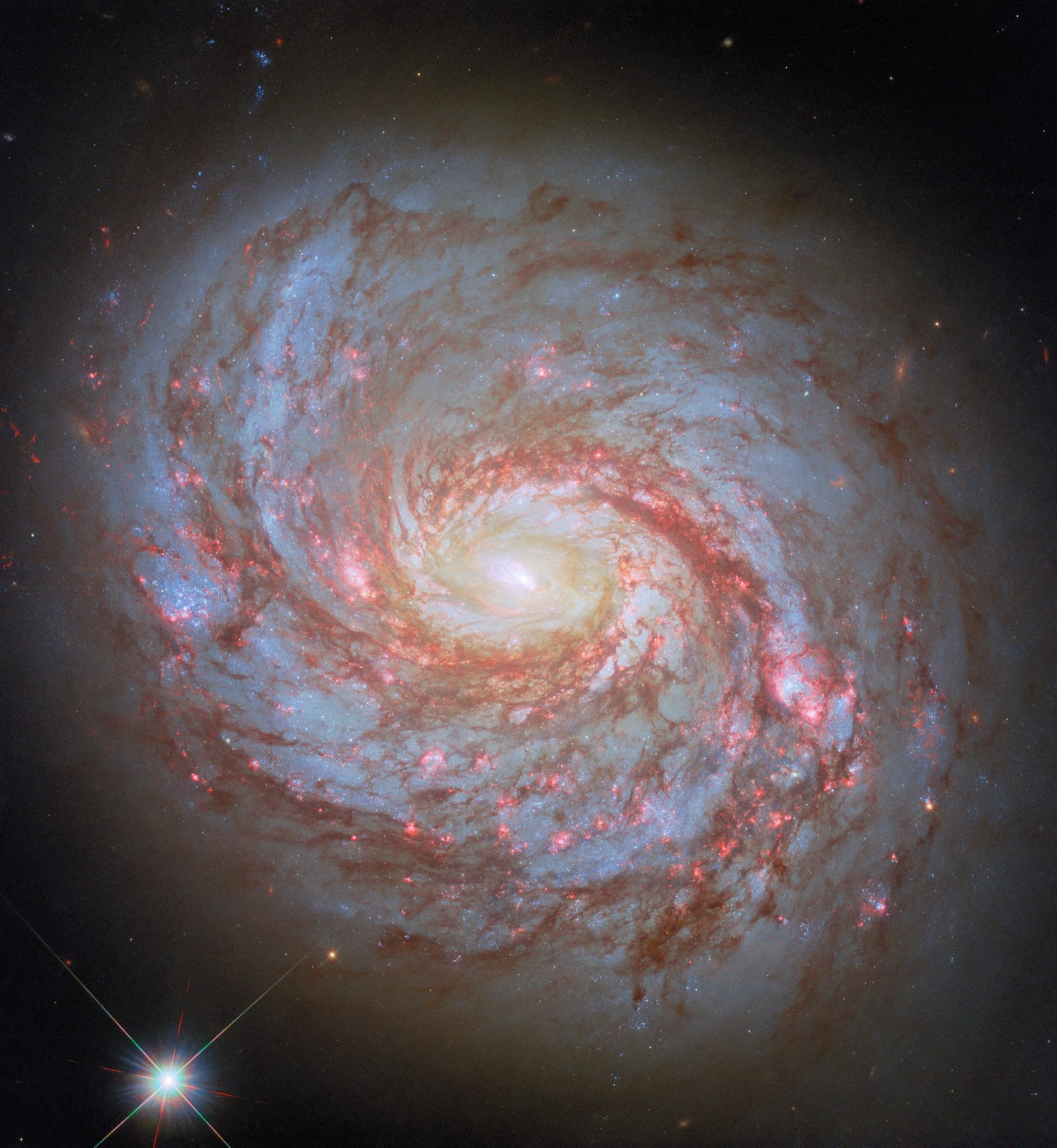 鱿鱼星系（梅西耶77）是一个棒旋星系，距离我们约4500万光年。这个宏伟的