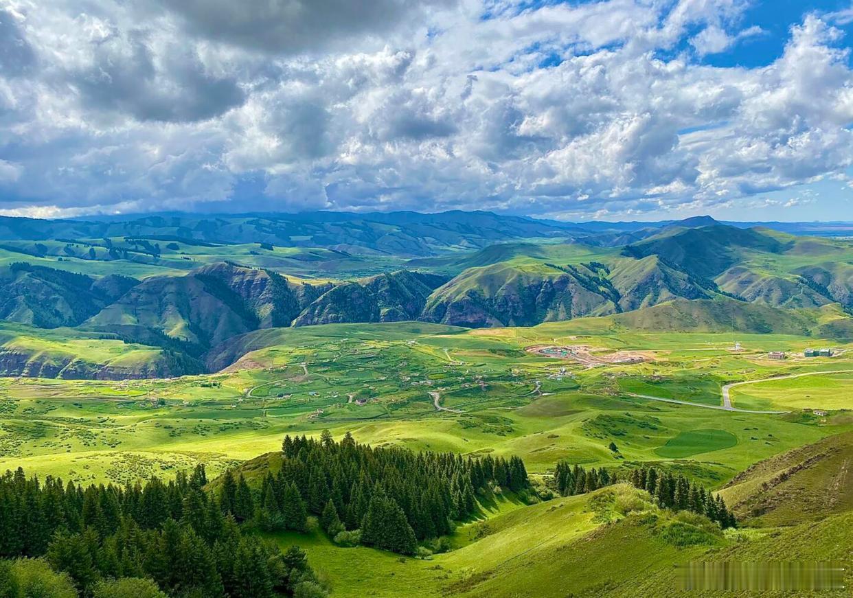 在连绵的松涛里接住山野的风，看绿意顺着山脊一层层铺开，新疆江布拉克把浪漫都揉进了
