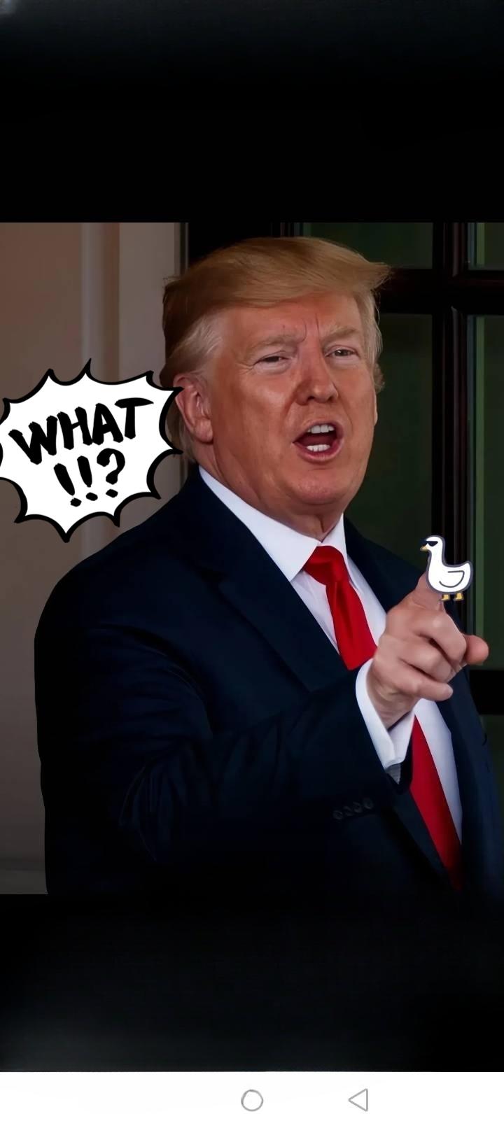 此时此刻东大商务部icon宣布​​11月9日东大商务部重磅公告。