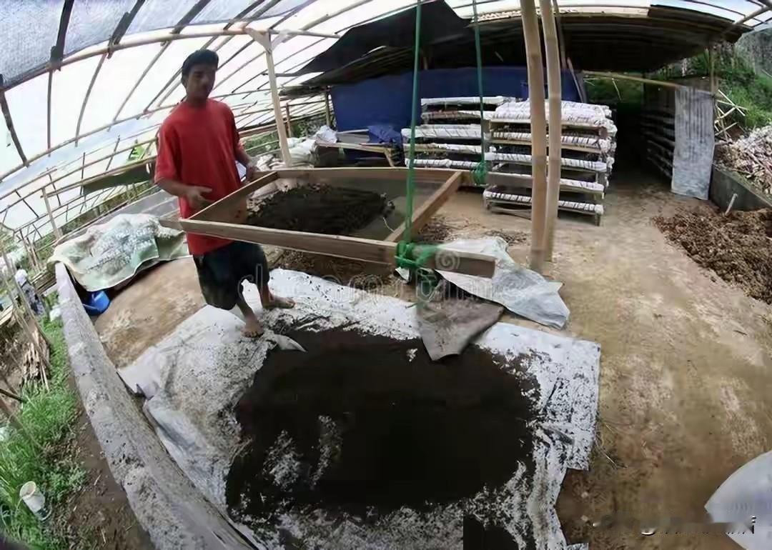 德国科学家花了几年时间做实验，证明粪水浇的菜能吃。中国网友集体沉默了——不是被震