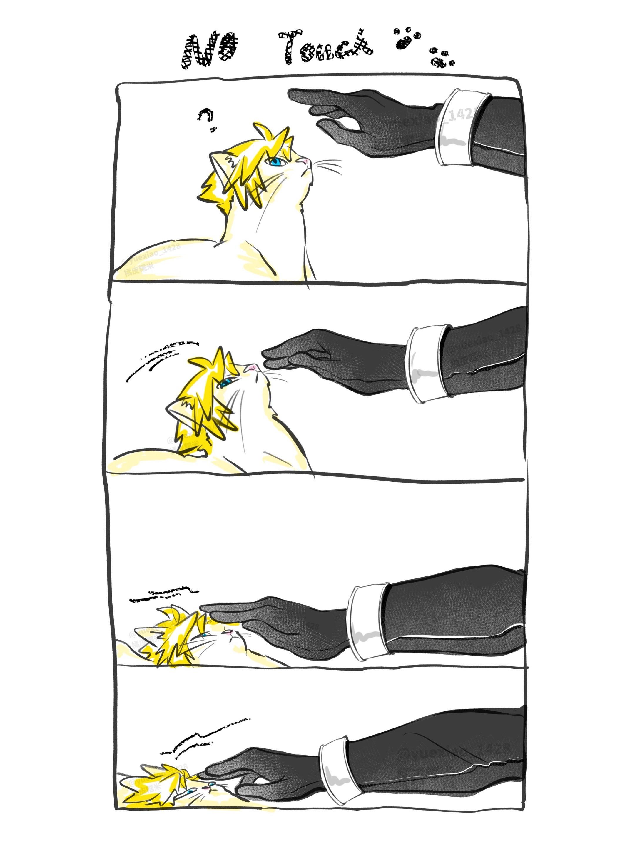 像这种猫就养得熟，你看他慈眉善目的。