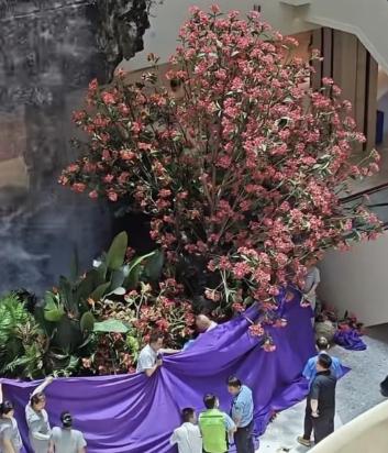 西安赛格突发：手握四百多家门店总代坠楼，后续难题待解！7月1日西安小寨赛格出