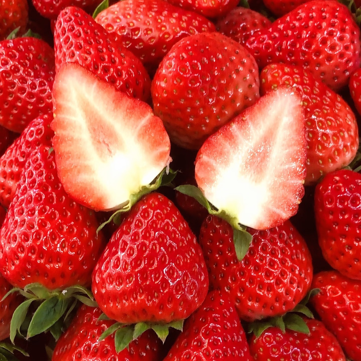 2100草莓的种植密度与种植水平关系很大，弱苗、迟栽、缺肥的田块宜密，定植密度以