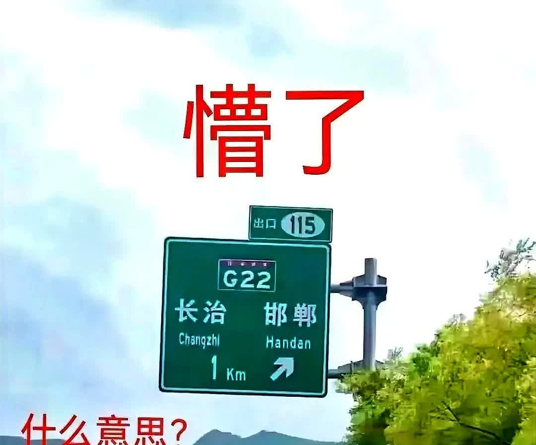 高速上这个标志是啥意思？头一次看到高速指示牌有这样的标志话说新手