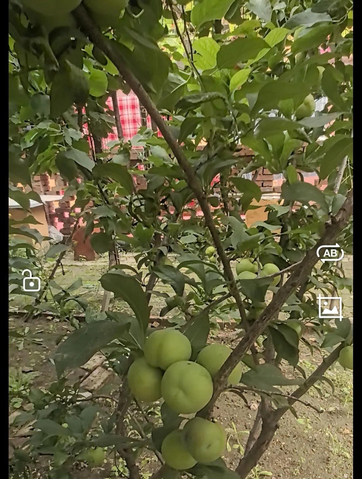 我和老公都是体制内职工，我们俩马上就要退休了。退休金两人应该有二万