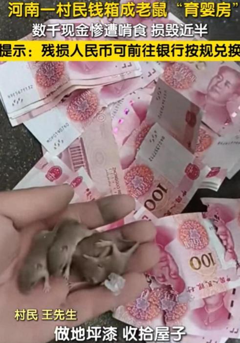 担心的事还是发生了！9月28日，河南驻马店，一男子在家中干活时，意外找到了一个装