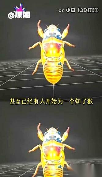 我跟你讲，今年夏天在山东抓知了猴，已经不是个技术活儿了。是科幻片。你大爷还是