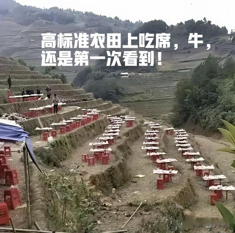 这种吃席场面还是第一次见