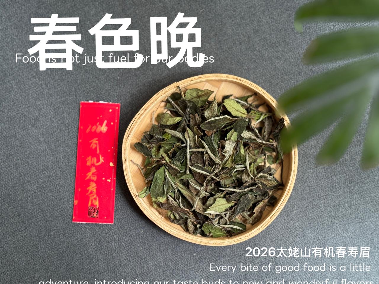 身体敏感脆弱，别喝白茶？白茶到底寒不寒很多体质弱、肠胃敏感的茶友，一直不敢喝白