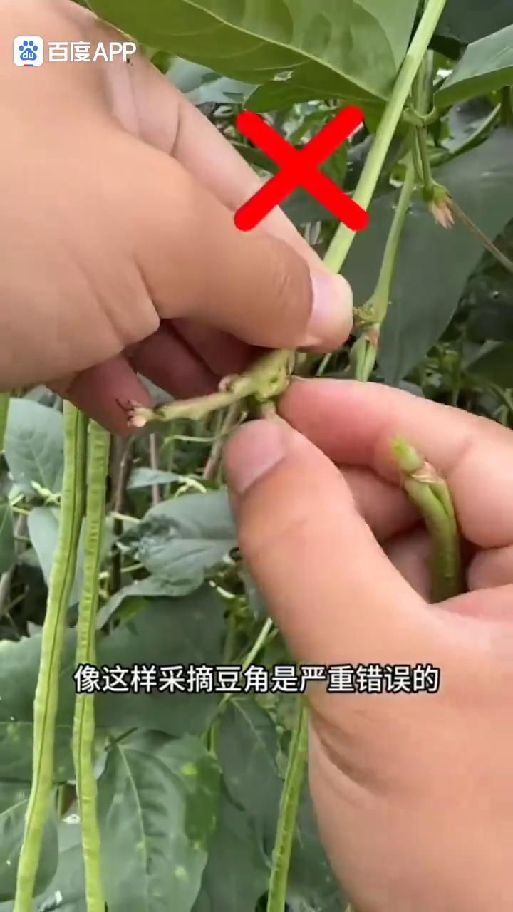 活了三十多岁，直到今天我才知道这九个生活小妙招，你可要记牢了。·技巧一：活了半