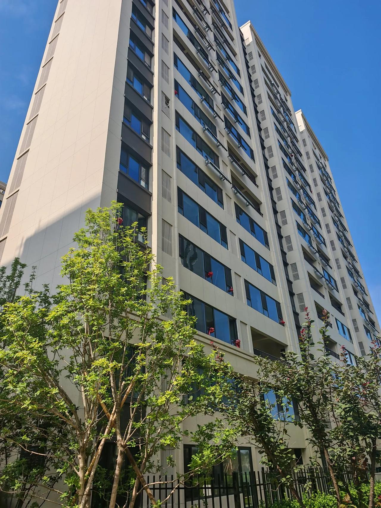 新家装修公司不知什么审美标准，没个窗口挂一朵大红花，你们看着怪怪的么？