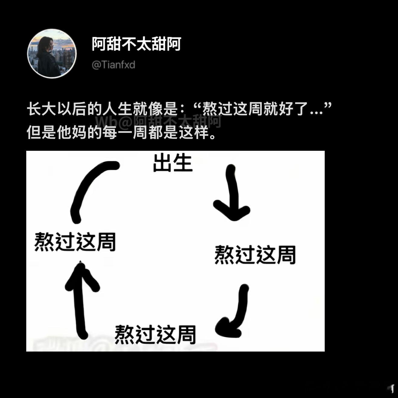 长大以后的人生belike​​​