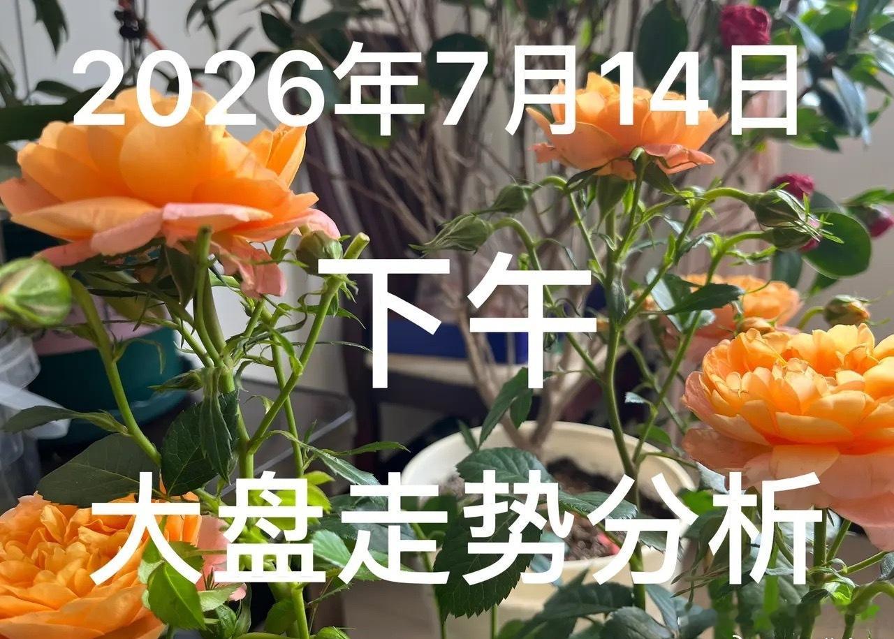 下午大盘走势分析：今天7月14日，今日沪指低开低走，午盘收于3887，成交持续缩