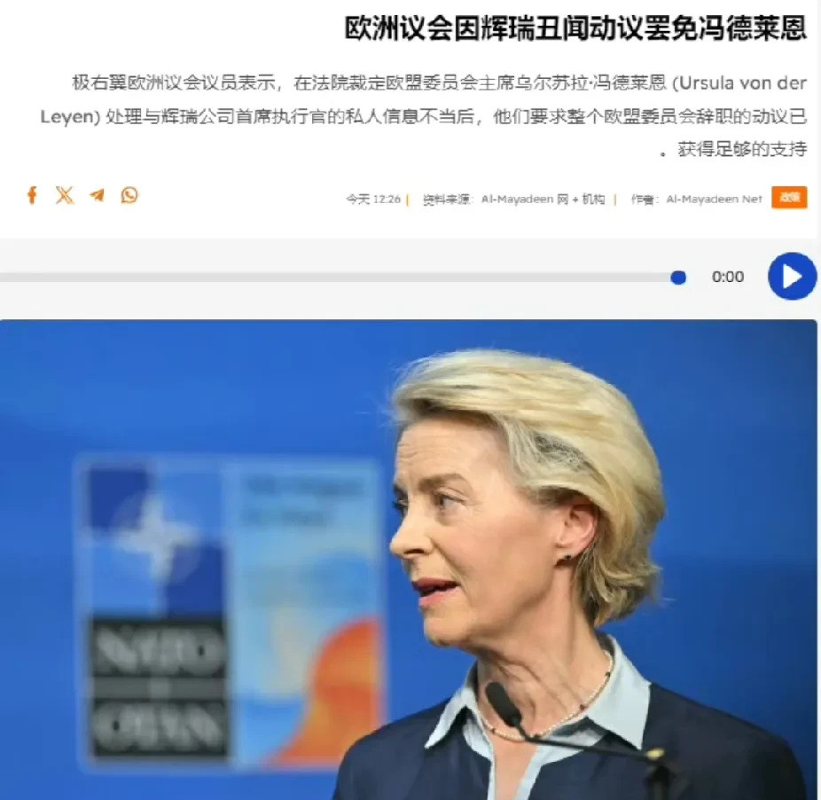冯大妈摊上大事了，欧盟要审判她！冯大妈这次真的要凉凉了！