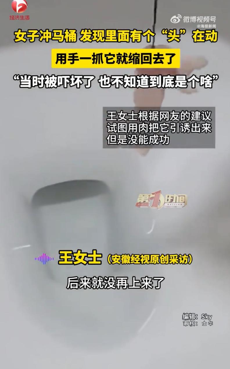 这是什么东西？黑龙江伊春，女子在家冲马桶，结果低头一看，魂都快吓飞了，网友：这是