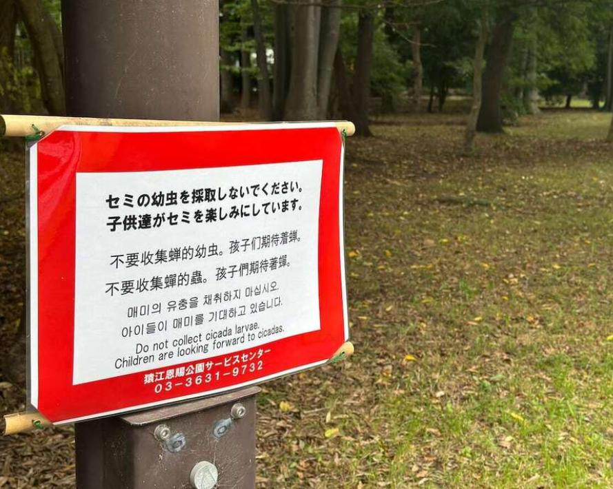 图片中的告示张贴在日本东京市中心的某公园内，用日文、中文、韩文和英文四国文字写着