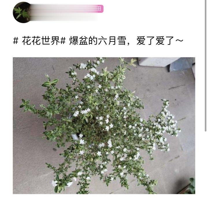 记得出门带伞, 下午起局部有大雨!