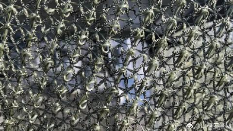 乌克兰无人机横行的好日子要到头了？谁也没料到，终结它们的不是更先进的防空导弹，而