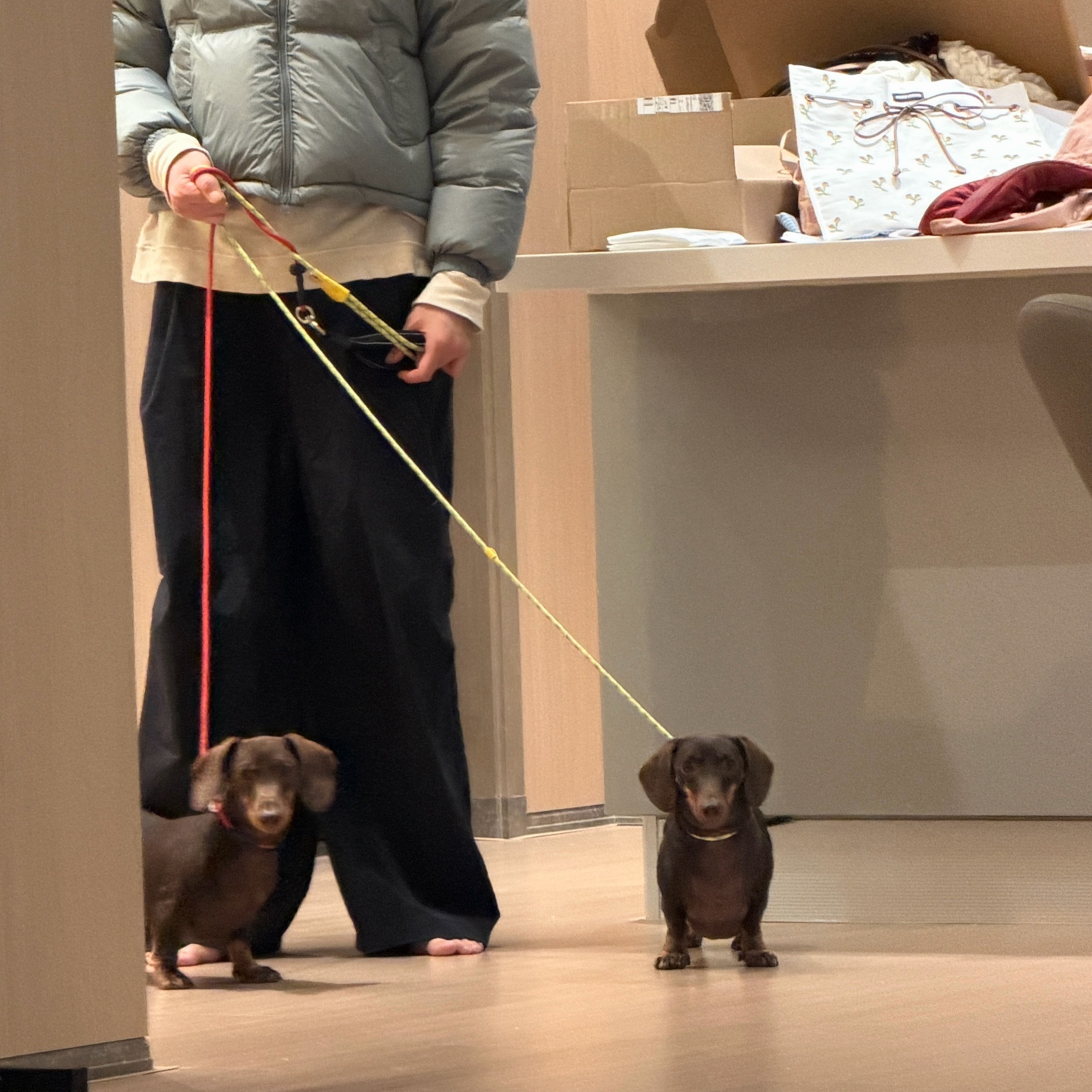 [扁嘴]是不是很可爱​​​