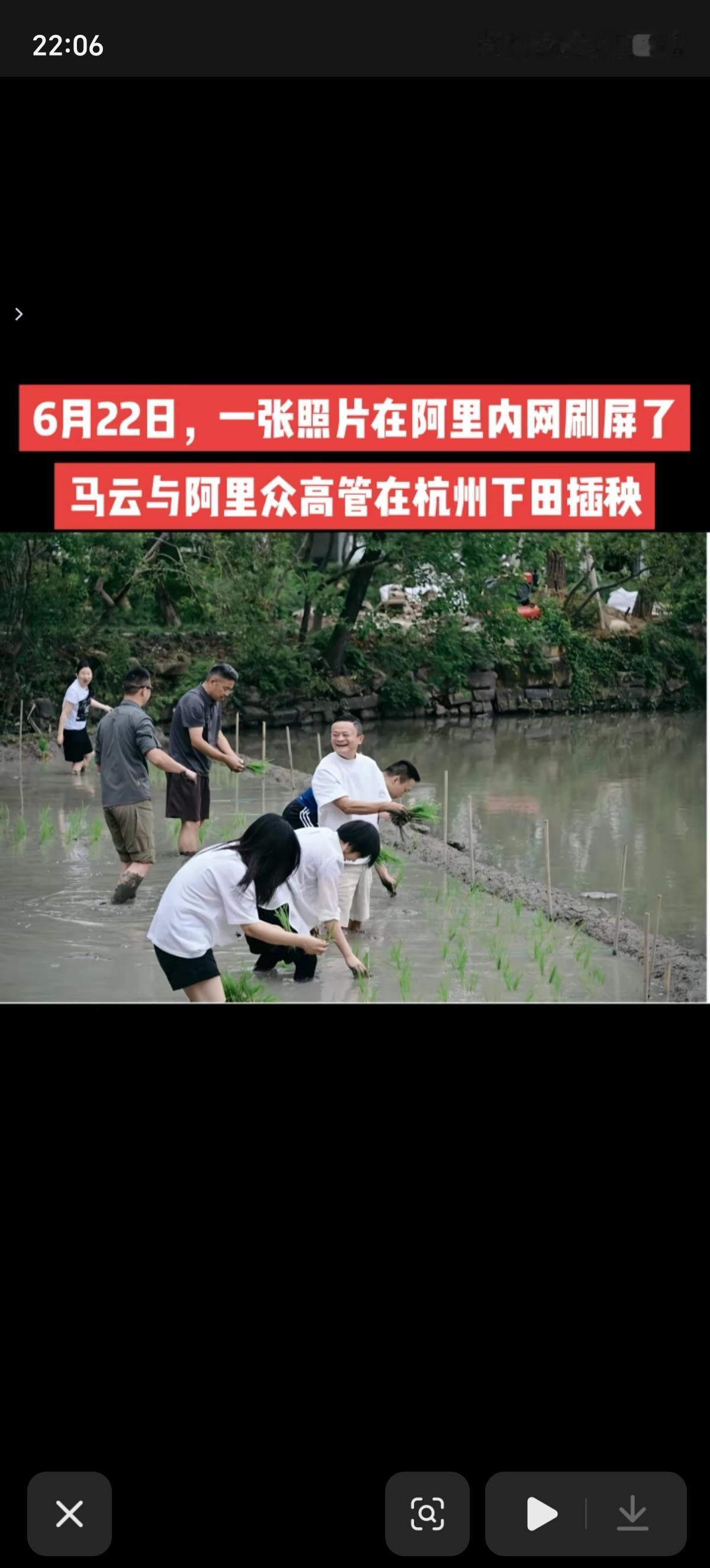 马云带领阿里、蚂蚁集团的高管们去杭州水田里插秧了，表明了自己还没有“退休”，首席