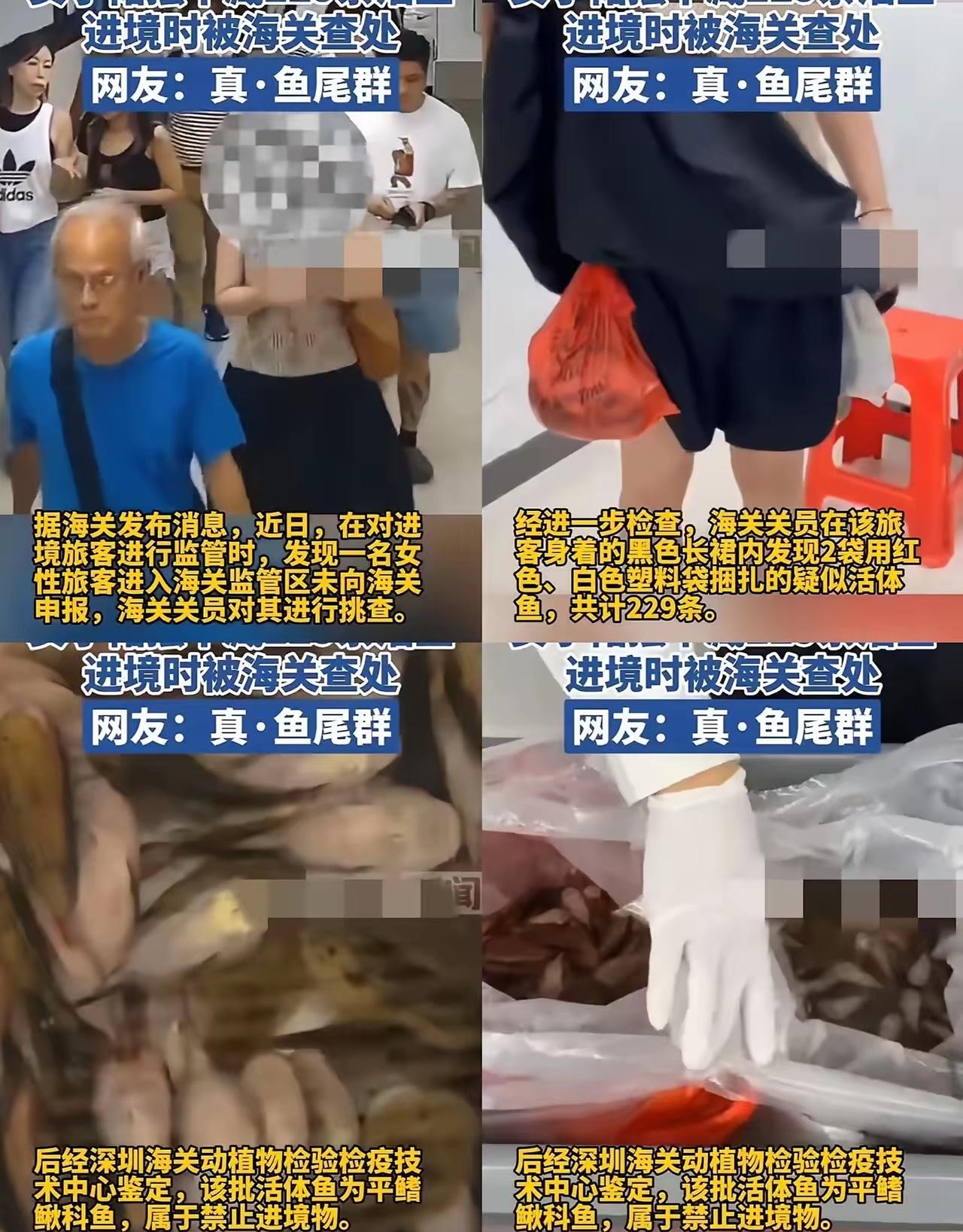 这下可算出名了，不光深圳，全国人都知道了！一女的就靠两个塑料袋，居然带了22