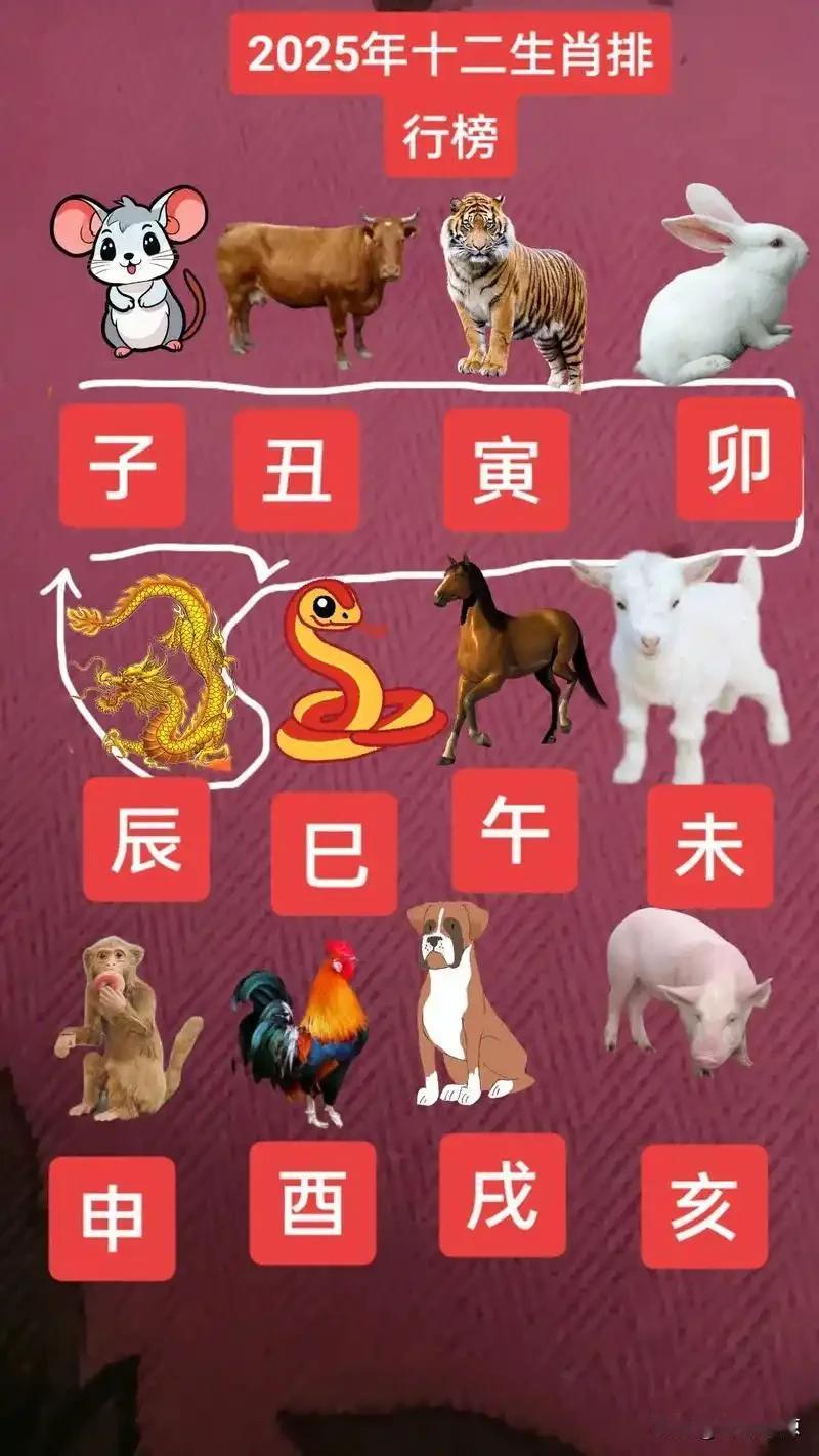 十二生肖财运许愿接住福运，岁岁丰盈鼠：揽1258万，存住牛：揽9666