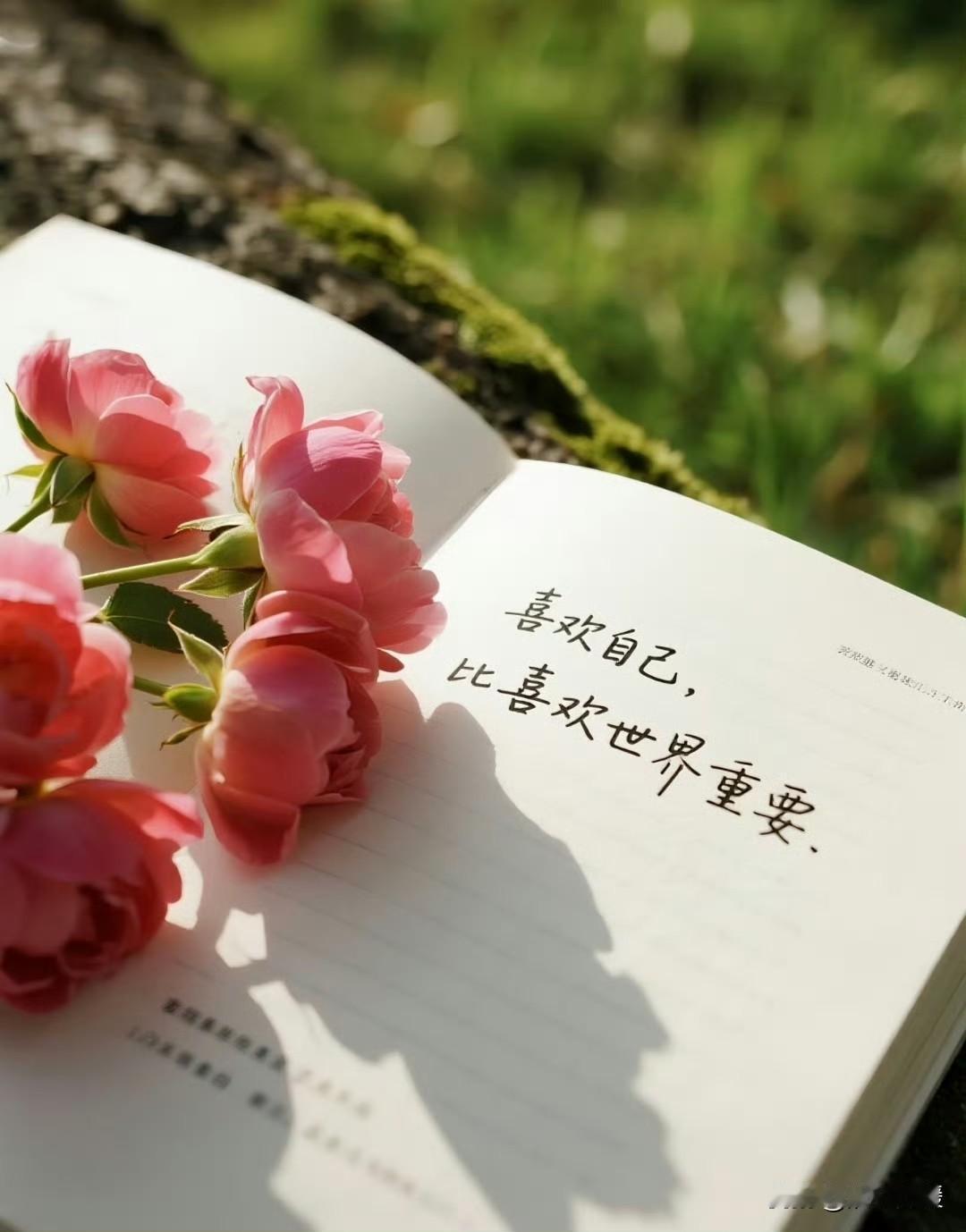 🌞渐渐褪去了年少的锋芒，开始喜欢安静、偏爱独处。不迎
