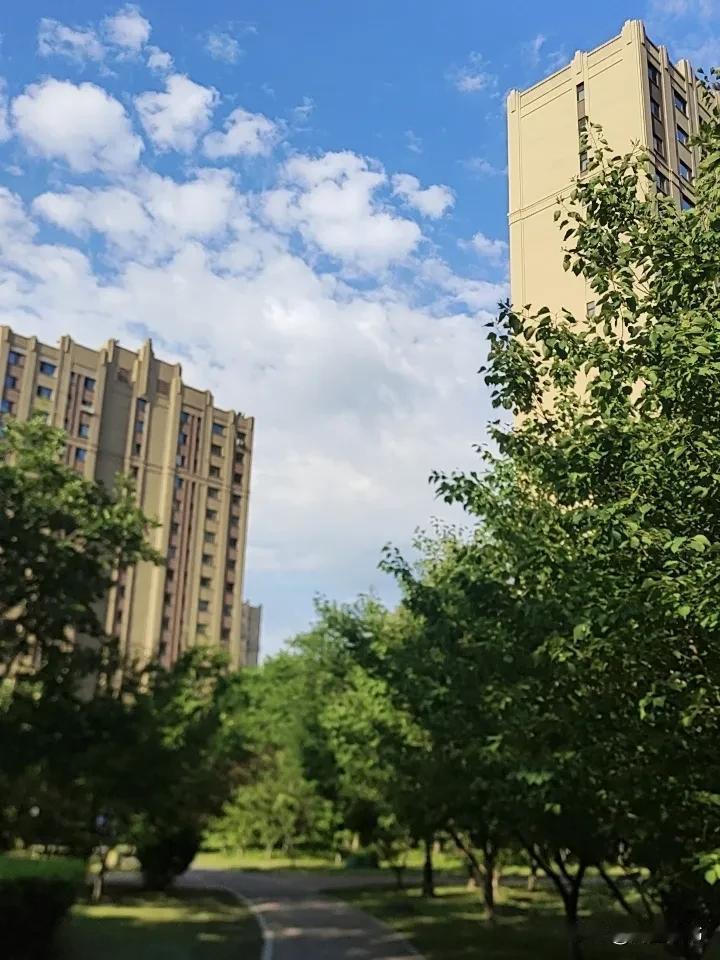 偷偷告诉你的“人性铁律”:1、没人在乎你的满腹委屈，除非你手里有价值、有底