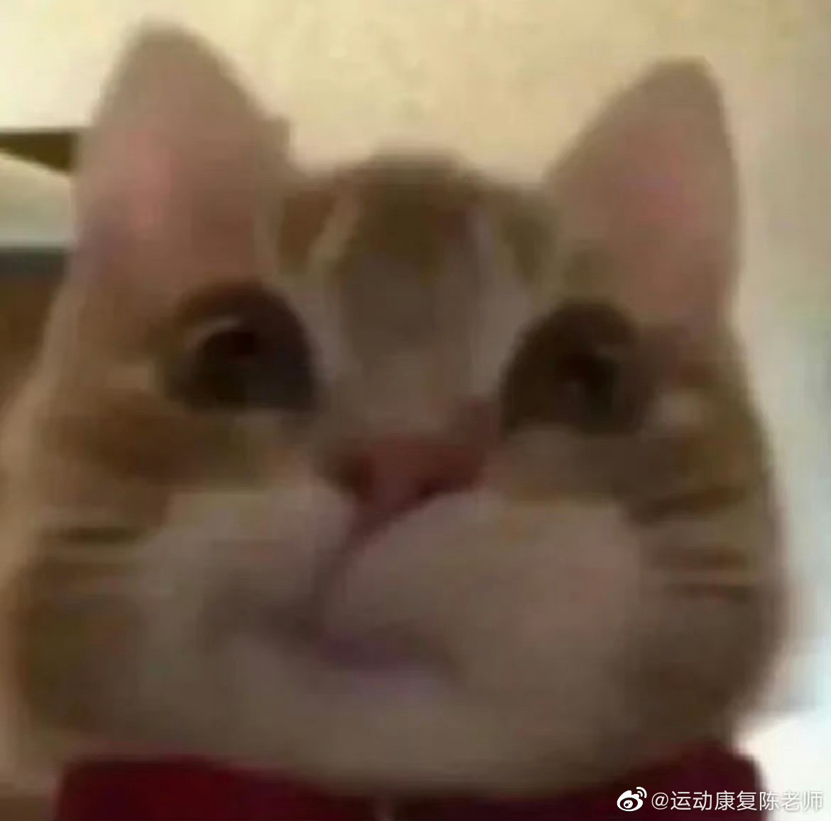 肩颈酸痛一个观察：很多容易肩颈疼痛的朋友，后脑勺发际线的头发，斜着或者横着长的