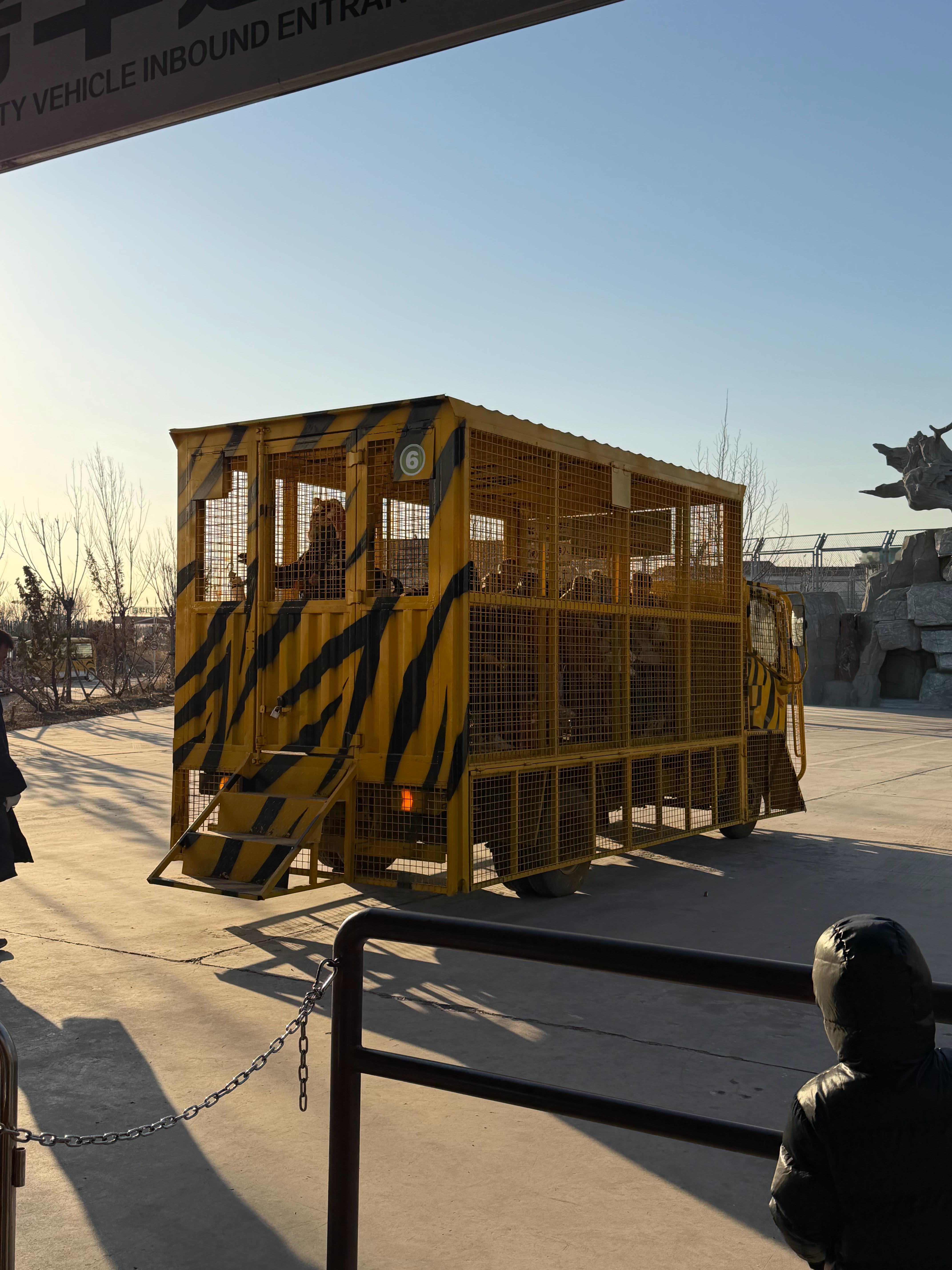 来到这个猛兽区，看到这个观光车，一时间不知道到底是谁参观谁。天津·天津野生动物