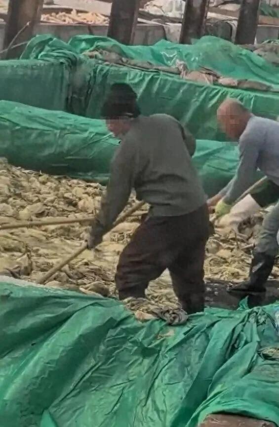 震惊!男子酸菜池抽烟乱吐，市监介入严查真让人反胃！酸菜池里边抽烟边吐口水，